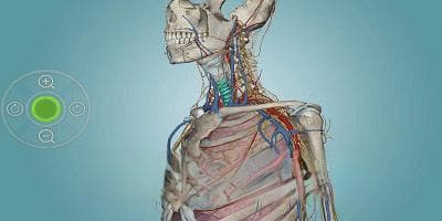 3d人体解剖学软件哪个好?3d人体解剖学软件免费下载-3d人体解剖学图集app