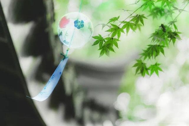 待到山花烂漫时 十首人间风情卜算子