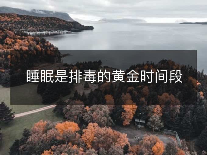 睡眠是排毒的黄金时间段