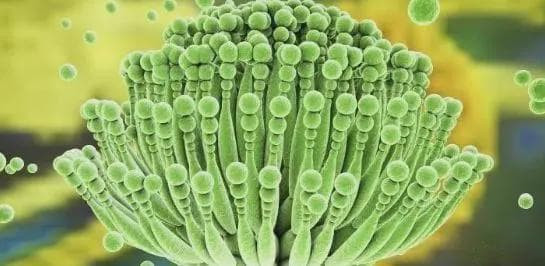 什么材质的切菜板最健康，买菜板牢记3不选，3招教你正确使用菜板