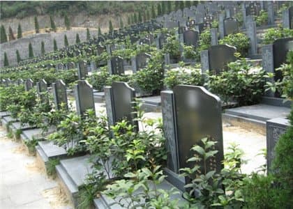 12生肖阴阳对照表：解读属阴生肖的性格特征