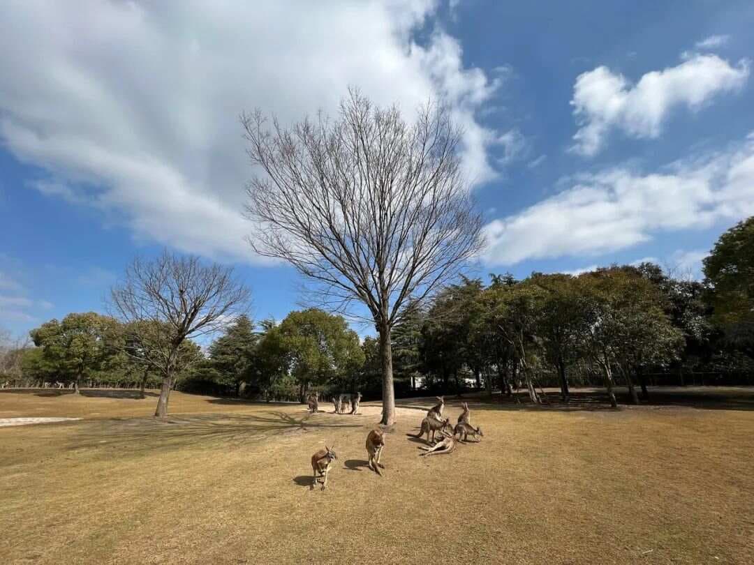 查理·芒格的多元思维模型：融合多学科知识的决策之道