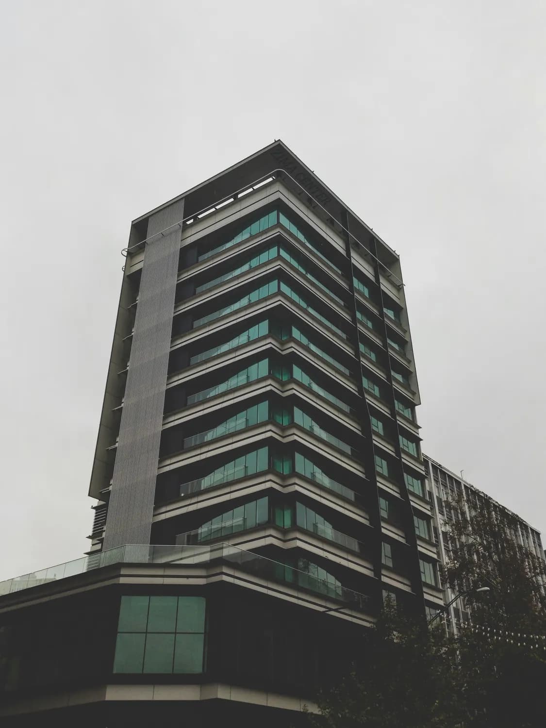 顺德十九楼早茶：一座城市的味觉记忆