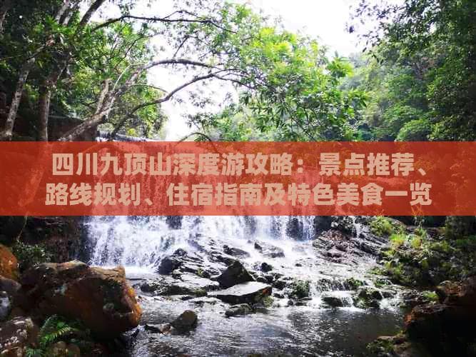 四川九顶山深度游攻略：景点推荐、路线规划、住宿指南及特色美食一览