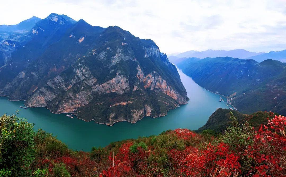 何以红叶灼其华——巫山国际红叶节背后的故事