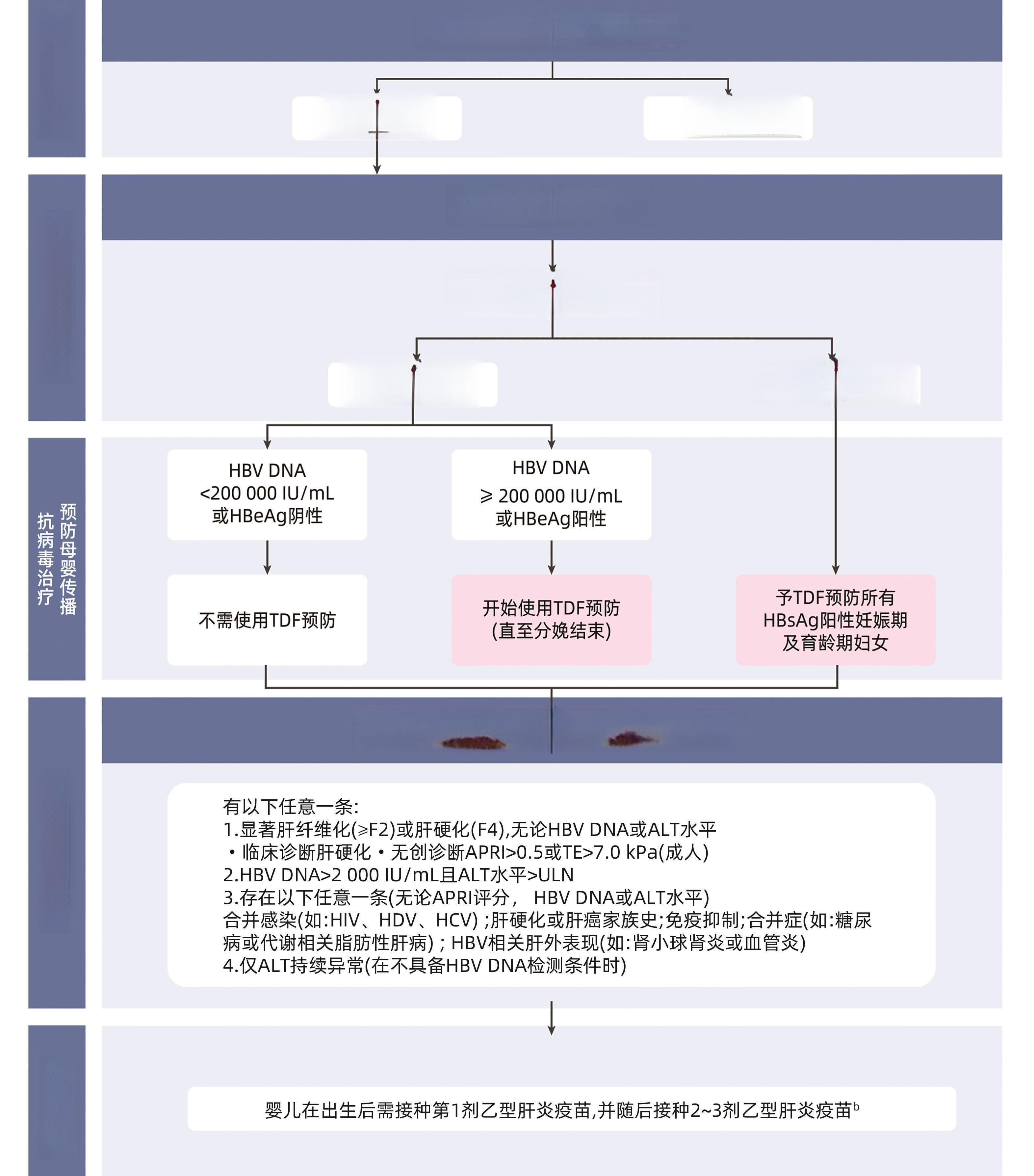 HBV-DNA高了？抗病毒治疗了解一下！