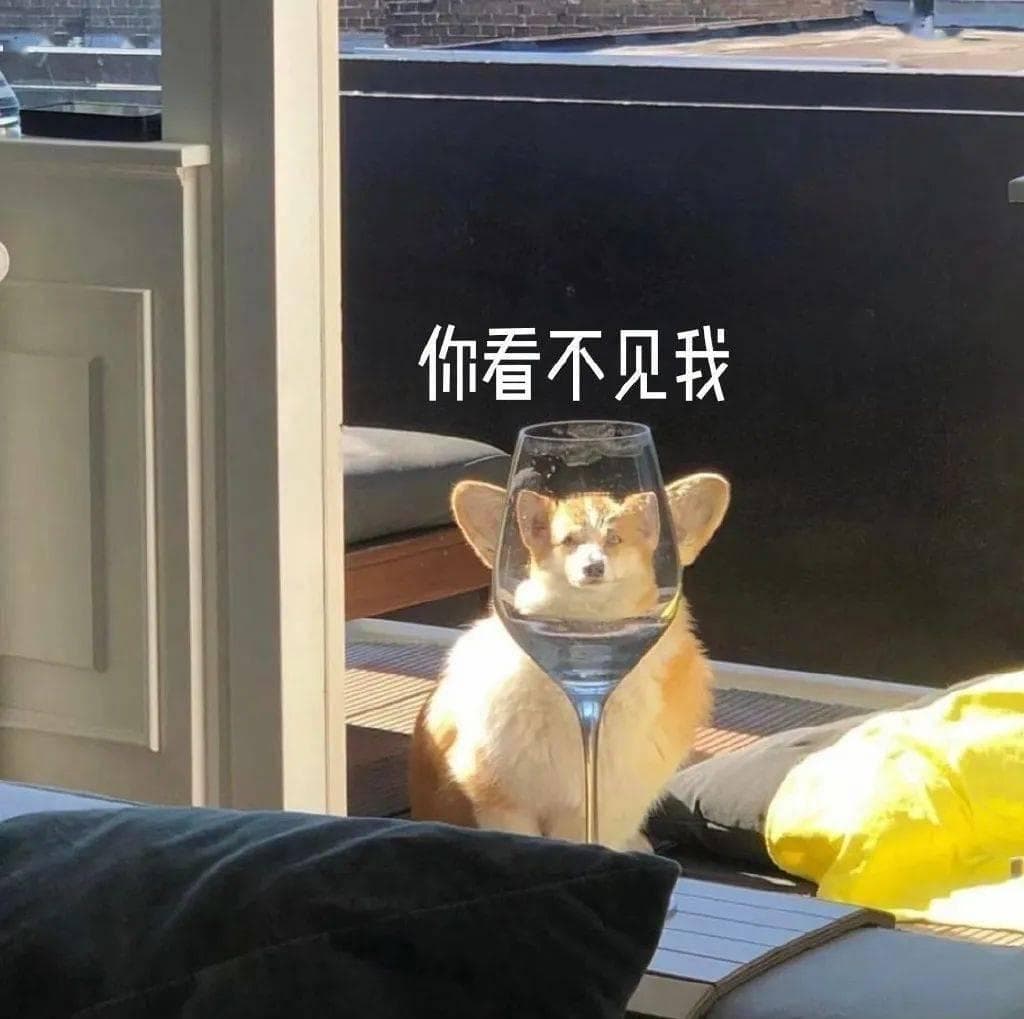 不懂就问！为啥偷懒叫“摸鱼”？能翻译成“touch fish”吗？