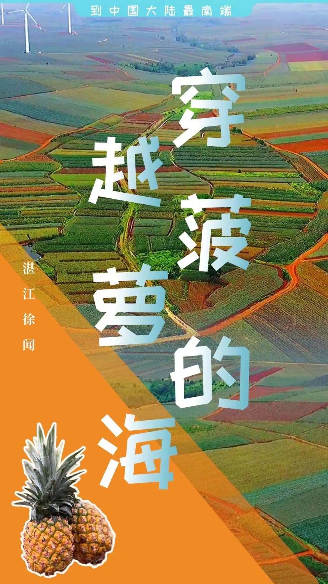 羊晚体验官带你走读广东百县千镇万村⑤：湛江徐闻