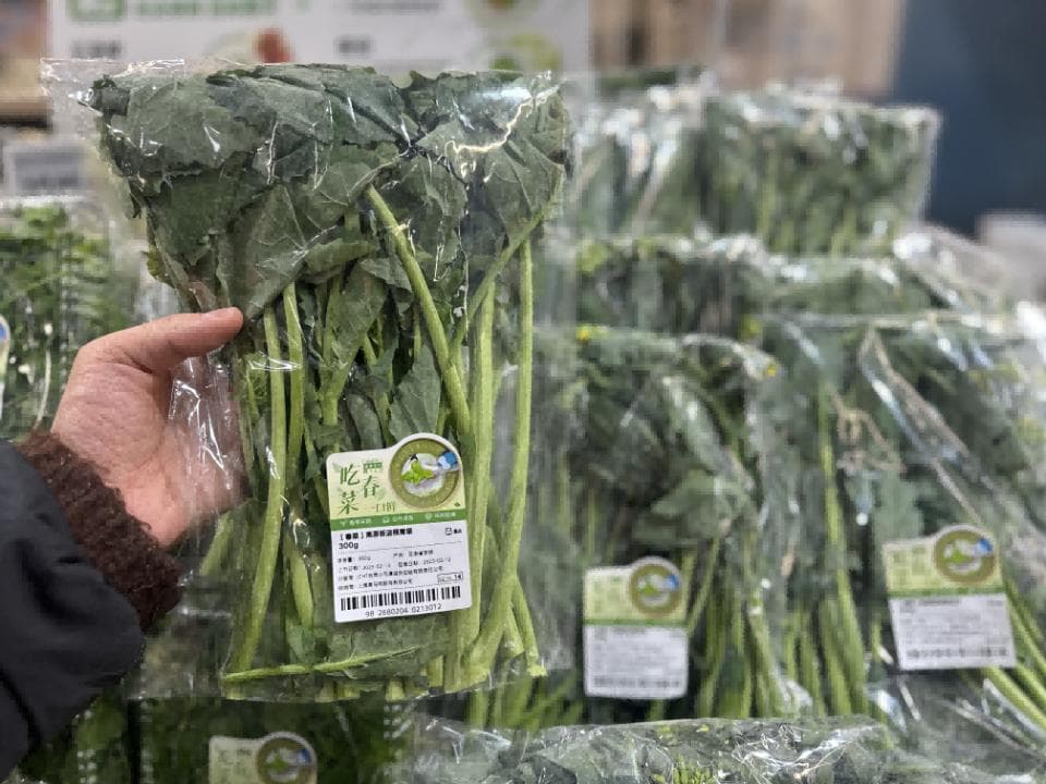 是菜不是药！春菜顶流“板蓝根青菜”是啥菜？