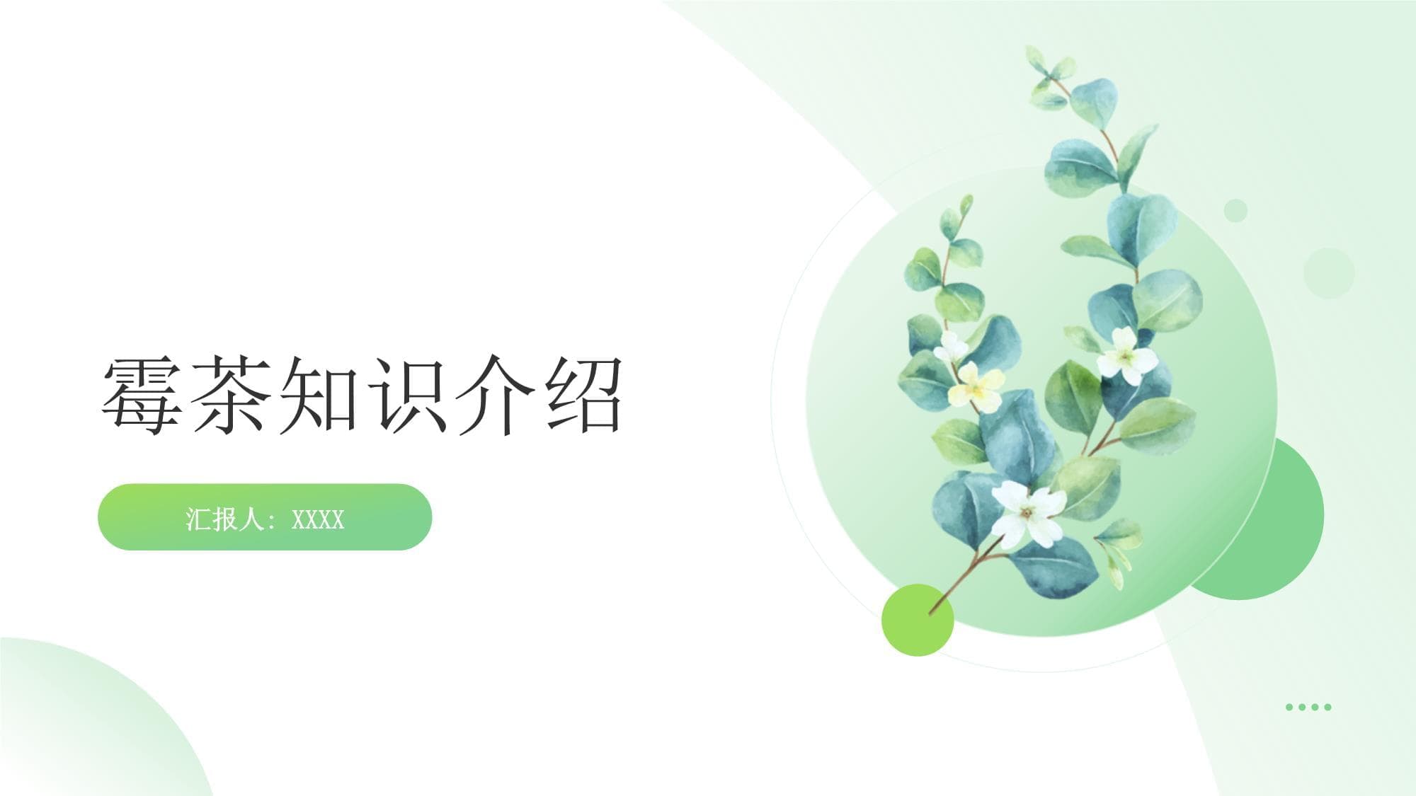 霉茶知识介绍
