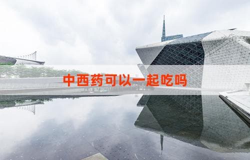 中西药可以一起吃吗：解析药物搭配的原则与注意事项