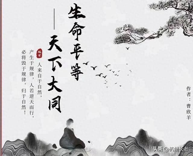 探寻《道德经》智慧：解析无为而治与生命平等之道