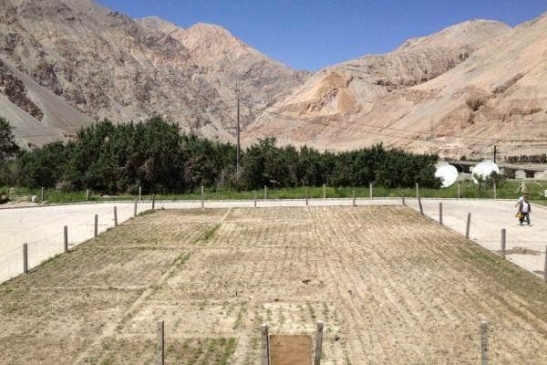 涨知识：一亩地、一分地、一平方米之间的换算关系详解