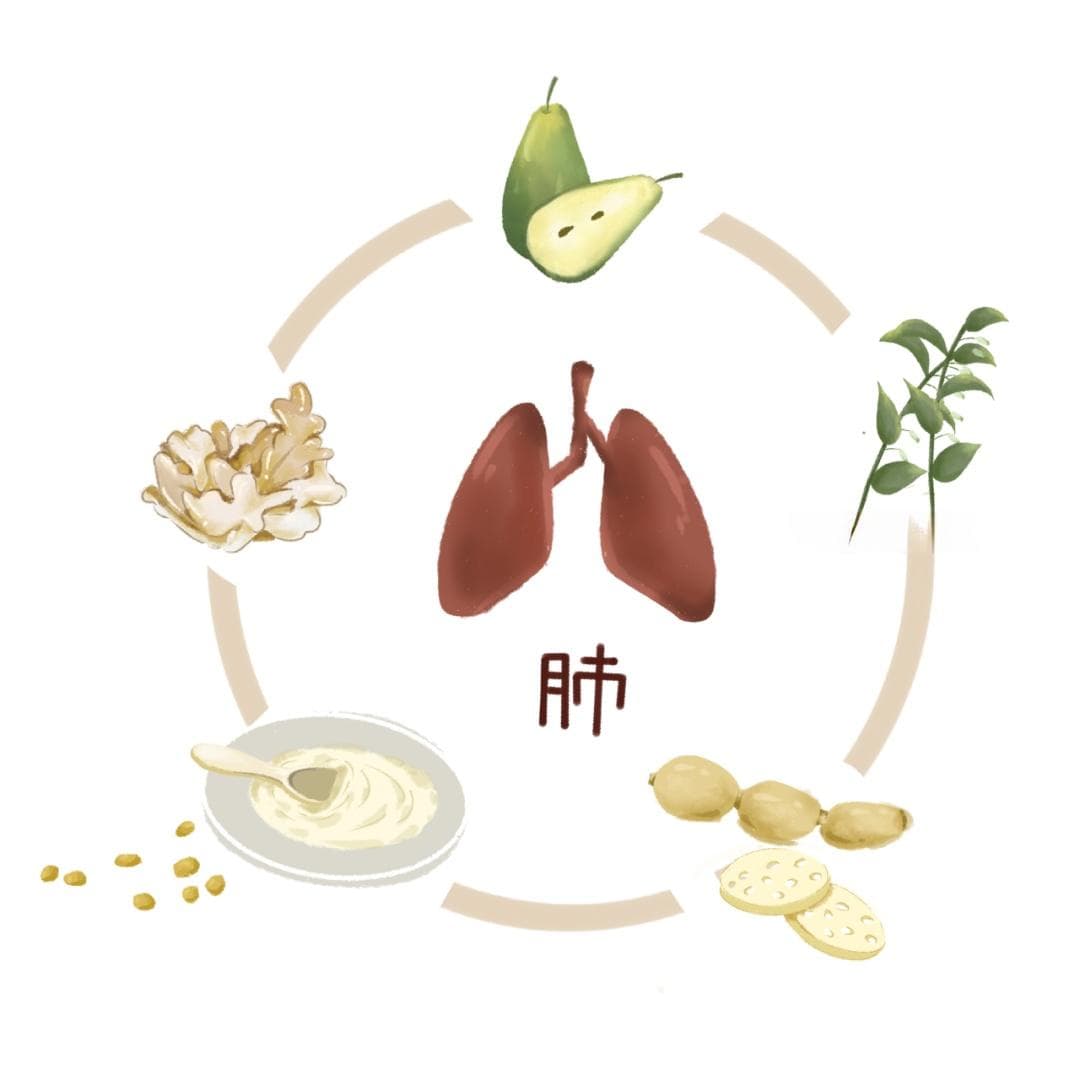 光华医院专家：食疗按摩双管齐下，中医教你冬季养肺防霾