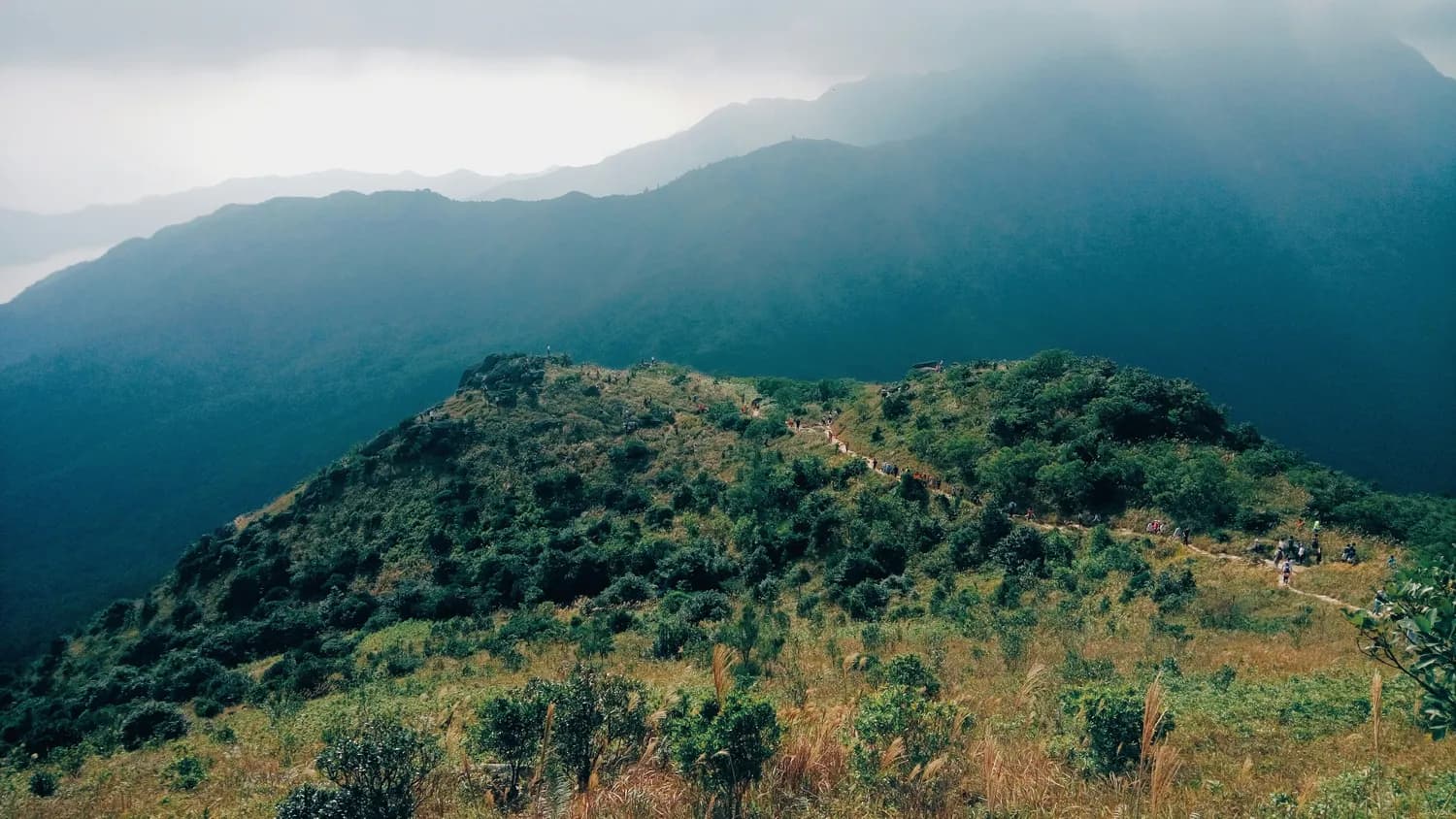 云南哀牢山：生物多样性的守护者