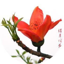 崇左市中级人民法院发布反家庭暴力典型案例
