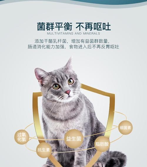选择和使用猫咪益生菌的指南