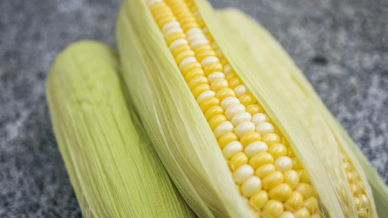 李新海谈玉米种质改良新突破：3万份种质资源助力粮食安全
