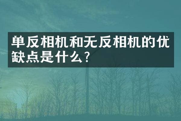 单反相机和无反相机的优缺点是什么？