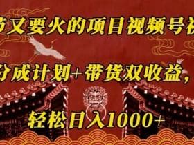 视频号素人如何打造个人IP，从人设到品牌的全方位运营