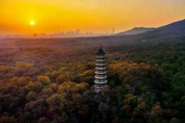南京紫金山爬山路线哪个最好？六条最佳路线推荐