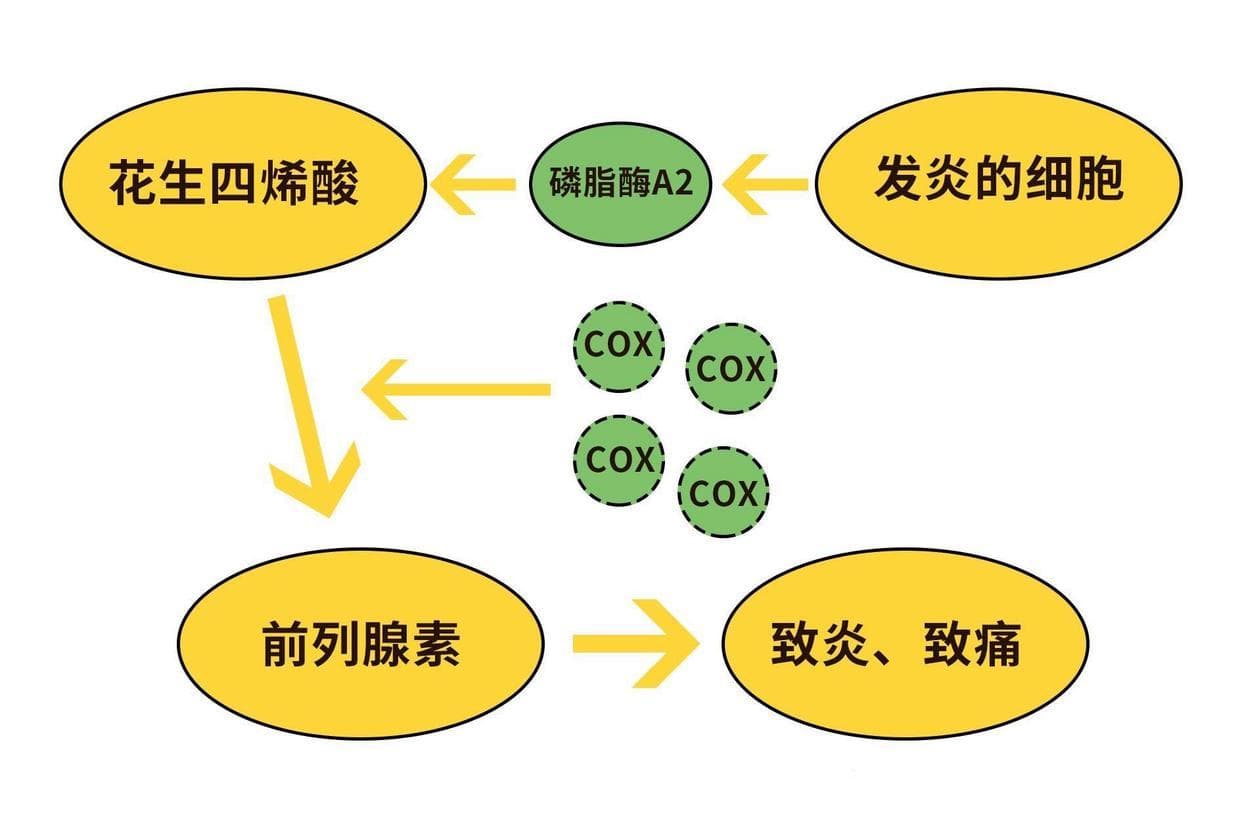 常用的关节止痛药布洛芬，有副作用吗？该怎么预防？