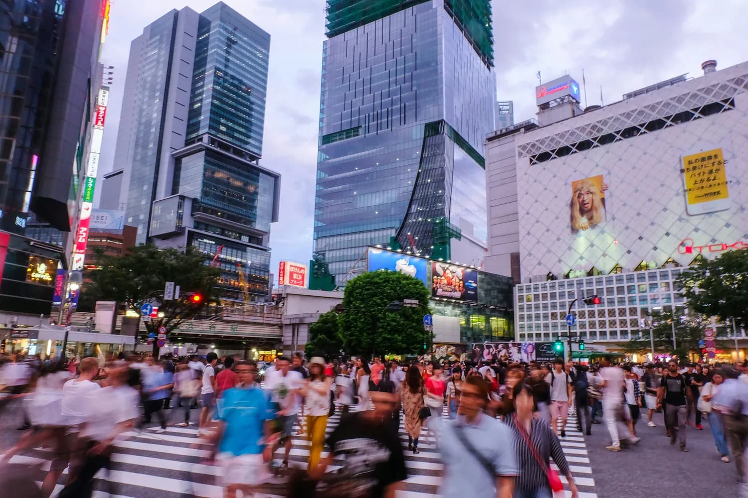 南京两大地标：新街口展现现代繁华，夫子庙诉说千年文化