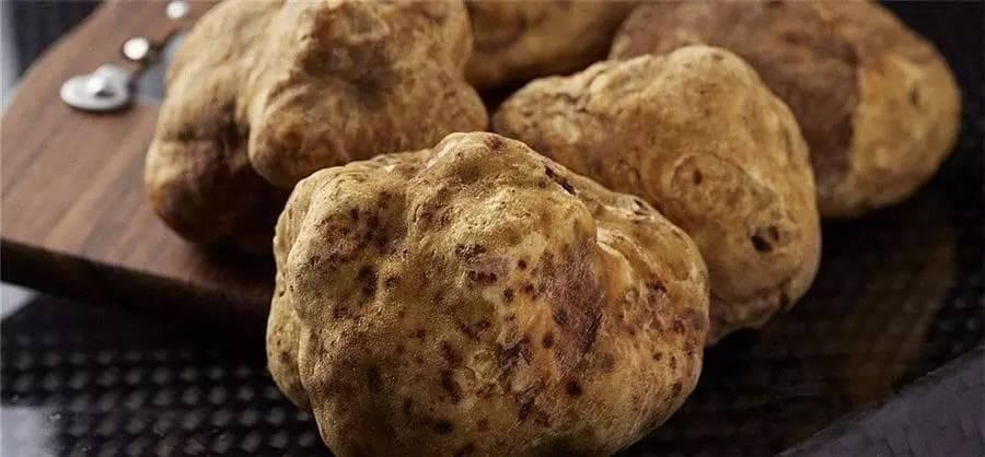 味蕾之旅：黑松露和白松露究竟是什么味道？