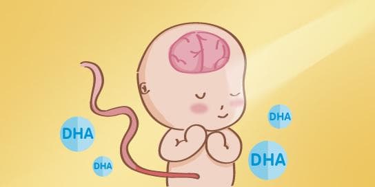 DHA是什么，详解孕期补充脑黄金DHA的作用