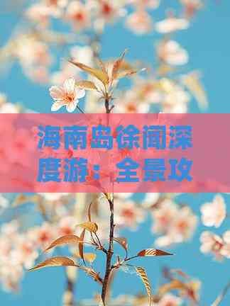 海南岛徐闻深度游：全景攻略与精选路线指南