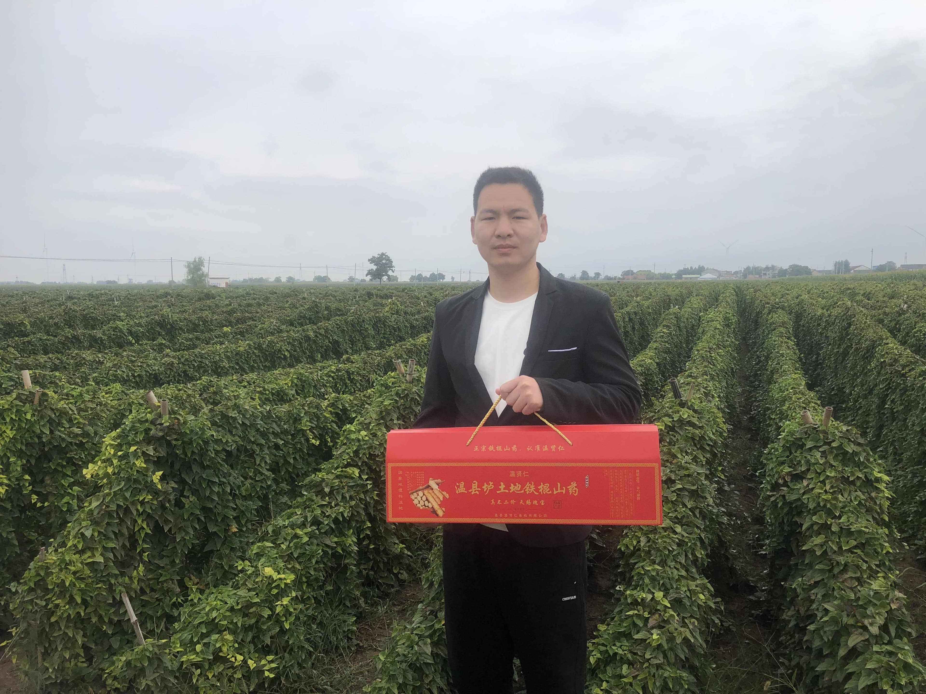 温县铁棍山药的功效与营养价值：健康养生的天然之选