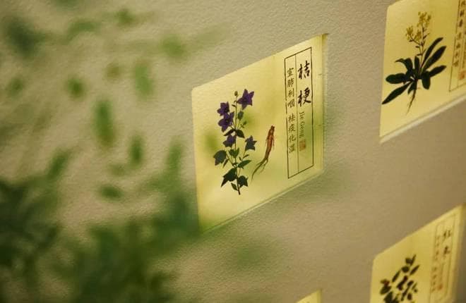湿疹三分治，七分养！一招祛湿毒，中医专家详解湿疹防治方案