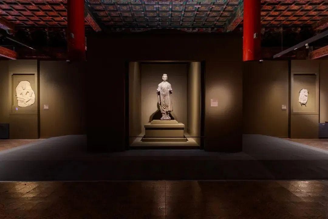2024年博物馆观察 | 博物馆展览五大趋势