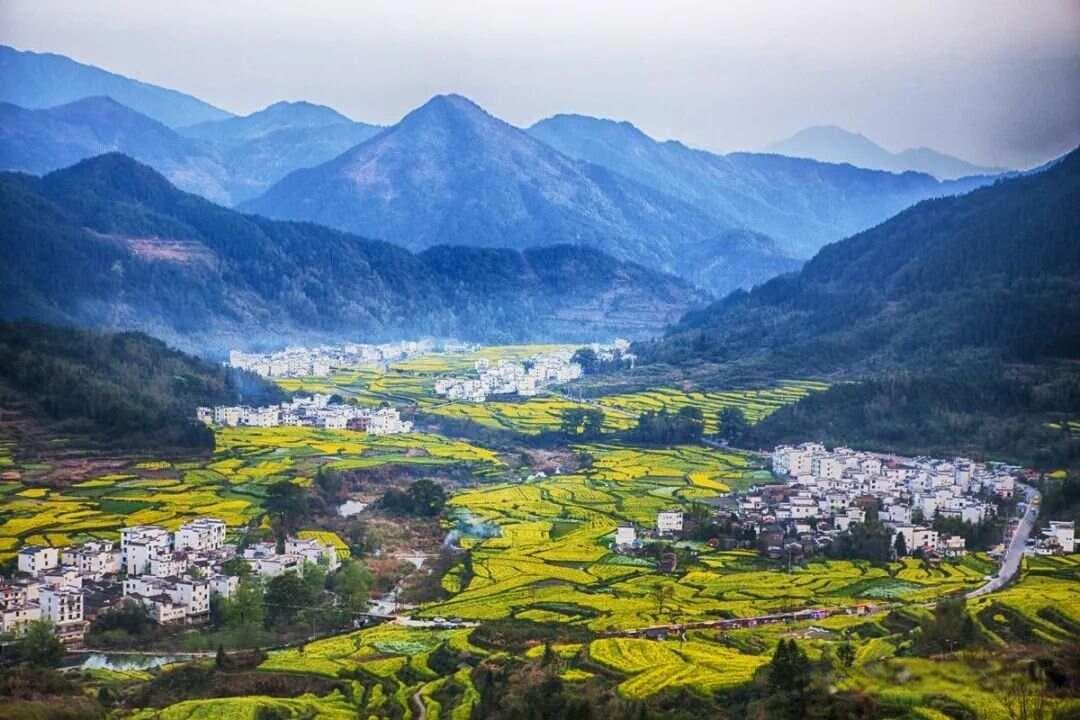 中国春天最美的二十个赏花打卡胜地，让人目不暇接，简直美不胜收，选个日子出发吧