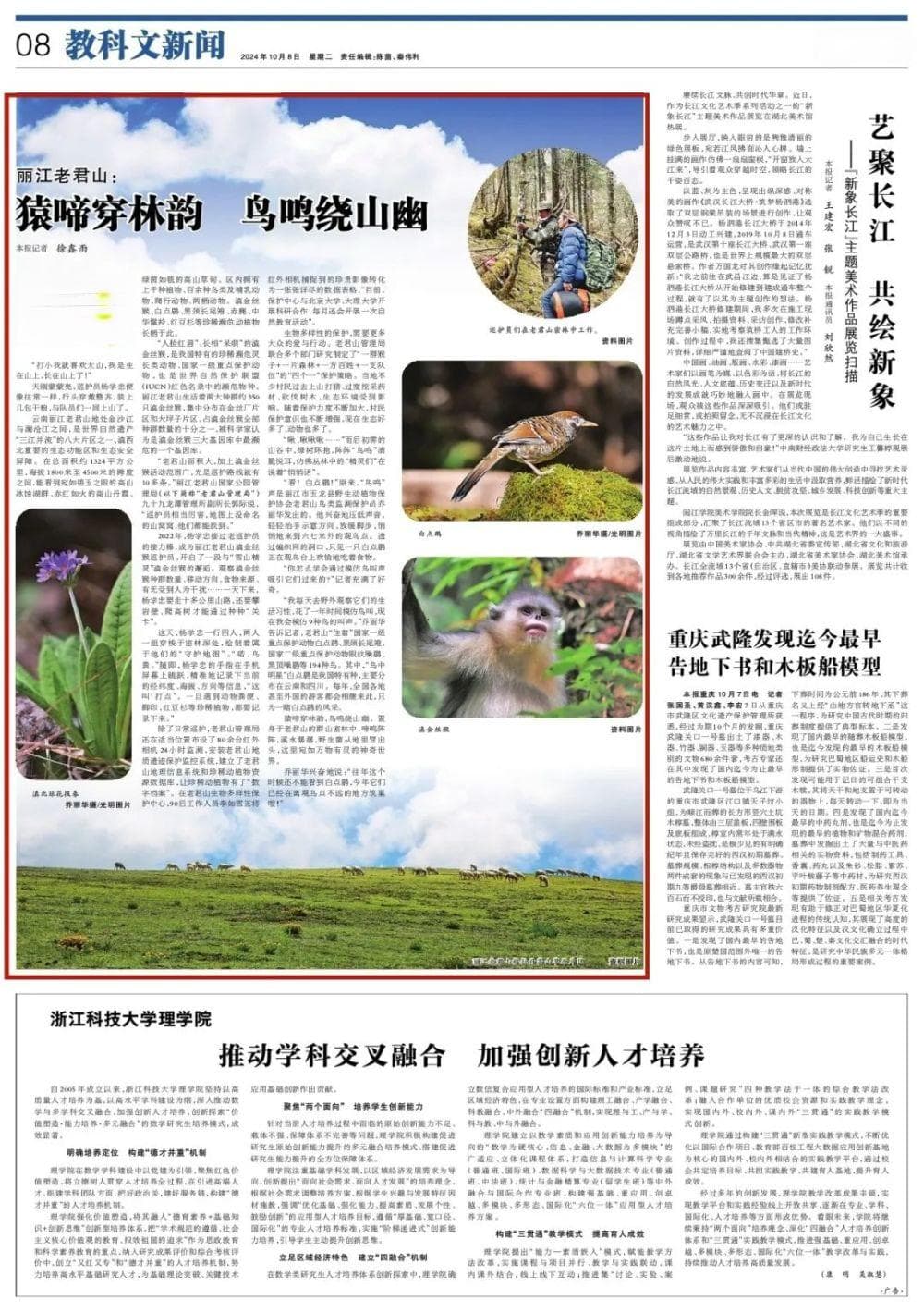 丽江老君山：猿啼穿林韵 鸟鸣绕山幽