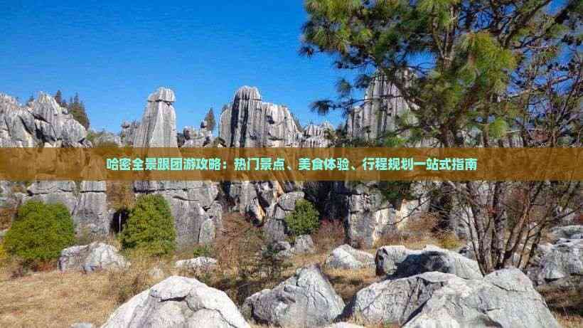 哈密全景跟团游攻略：热门景点、美食体验、行程规划一站式指南