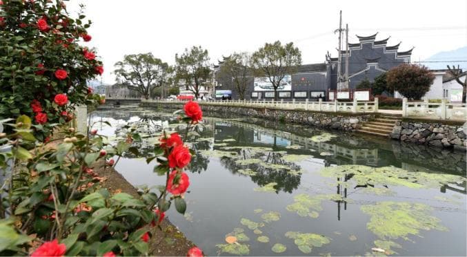 宁海岔路镇：访“红村”、走古道、品美食，开启一场“超凡脱俗”的养生之旅！