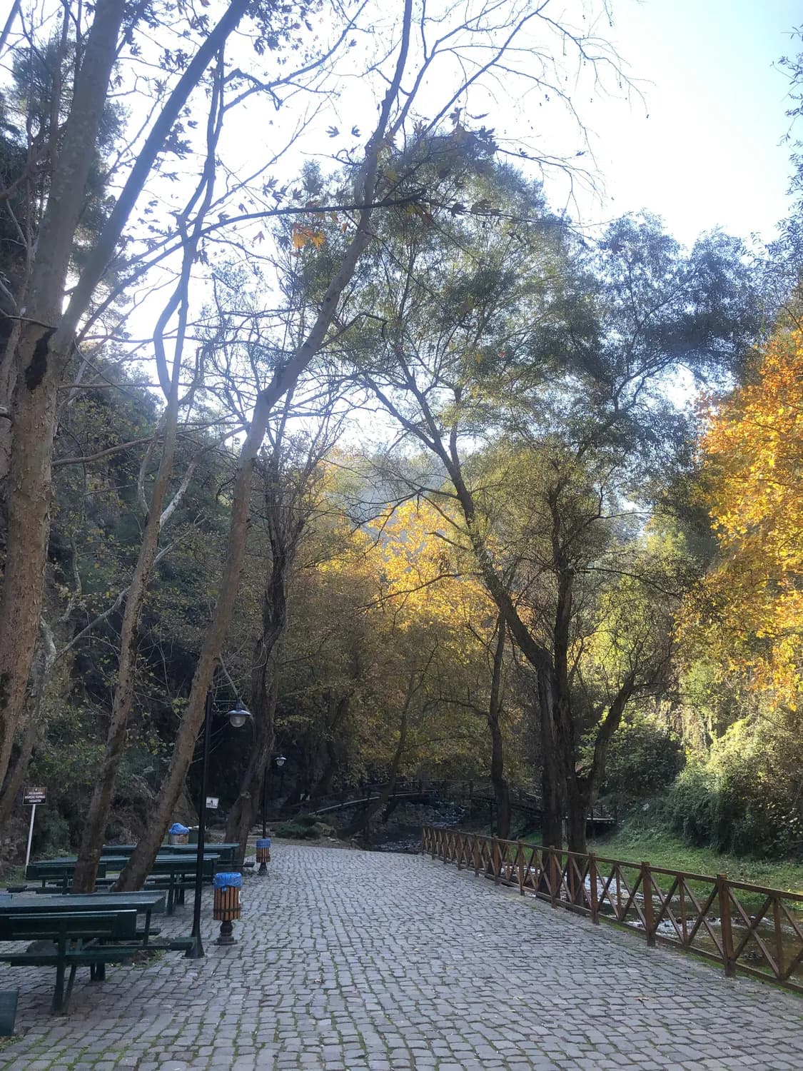 秋冬打卡：从虎丘到山塘街的最佳路线攻略