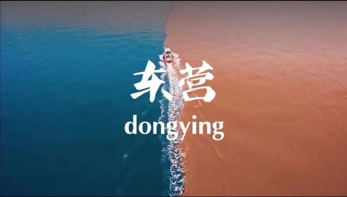 东营旅游攻略大起底：2025给出参考答案！