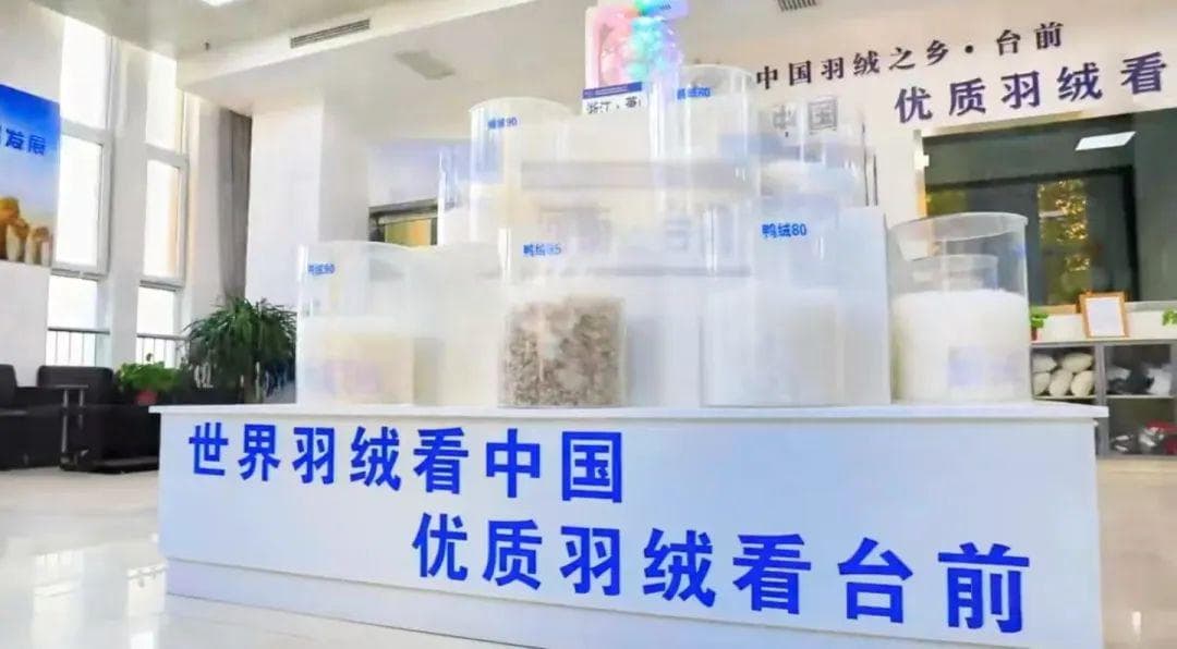 这个与众不同的博物馆，告诉您羽绒的“前世今生”！