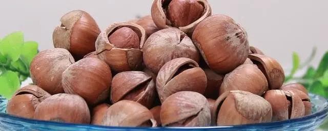 榛子种植技术详解：从光照到土壤管理的全方位指南