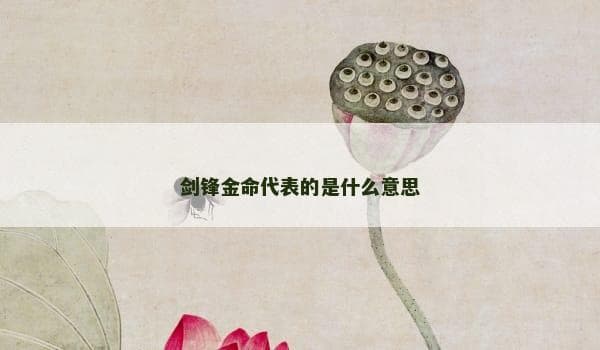 剑锋金命代表的是什么意思