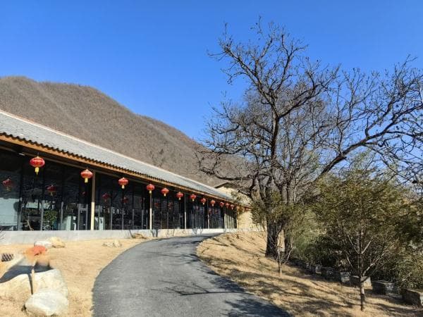 陕西汉中：村村收入“10万+”，是怎么做到的？