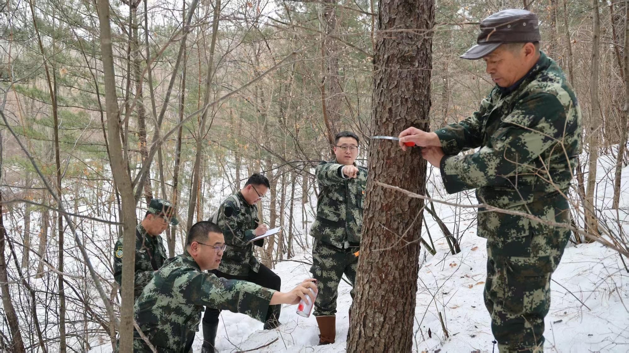 发力森林可持续经营 释放生态潜能