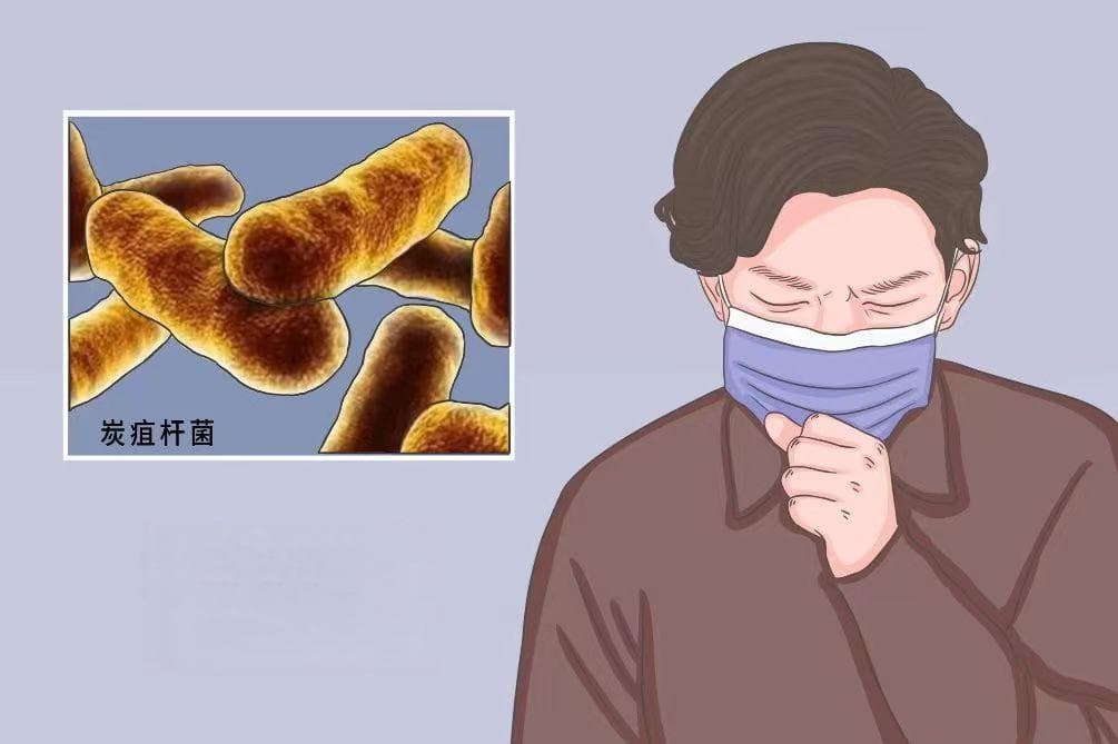 史上第一个被发现病原菌的传染病——炭疽