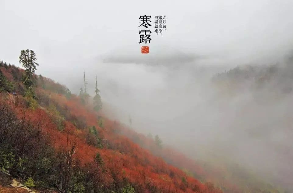 二十四节气——寒露