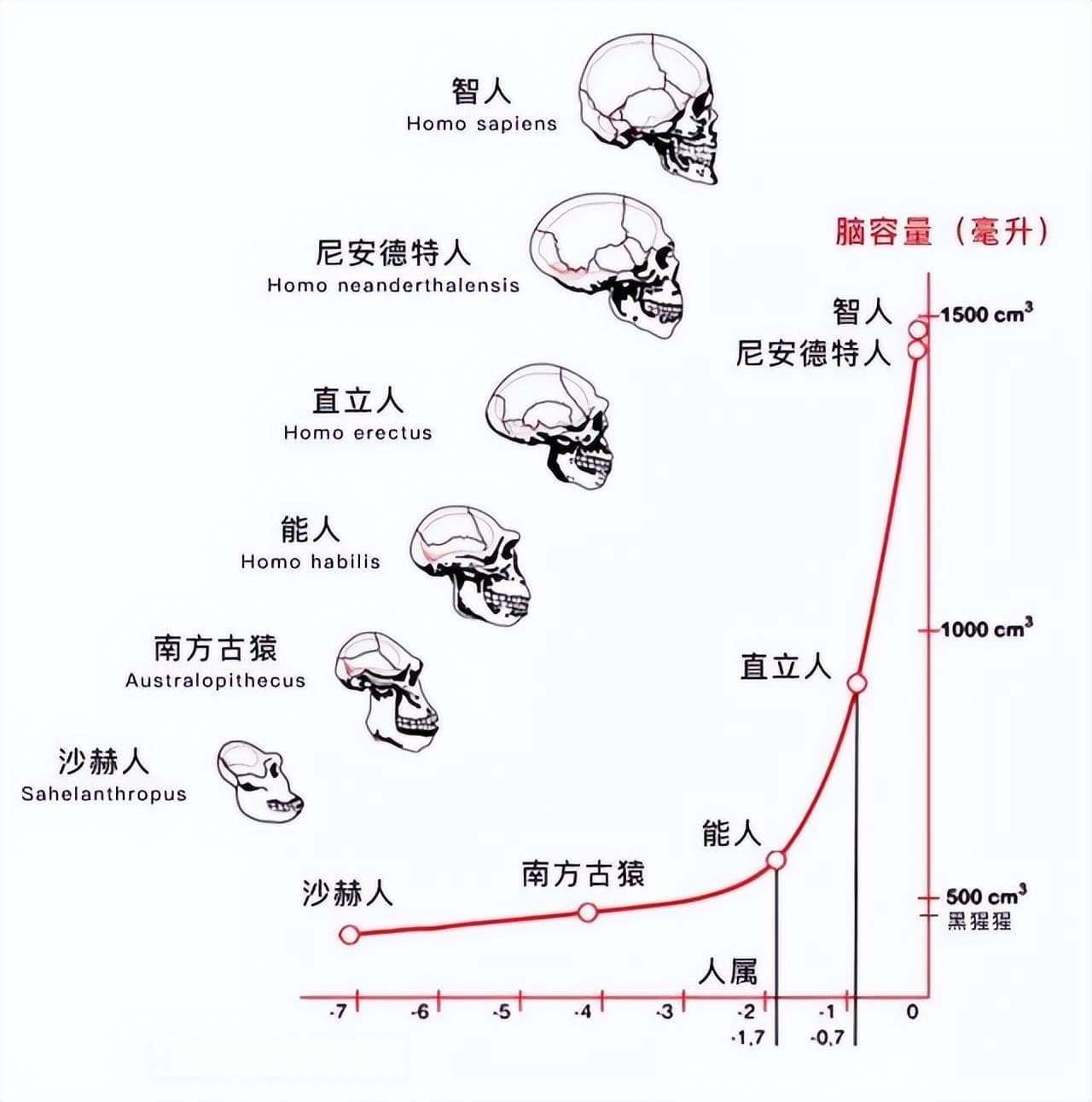 人类起源之谜：从神创论到科学演化的探索之旅