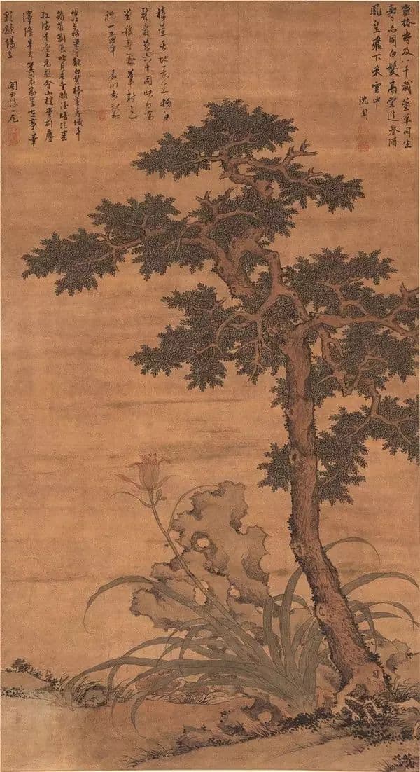 椿树：中国传统文化中代表父亲的植物