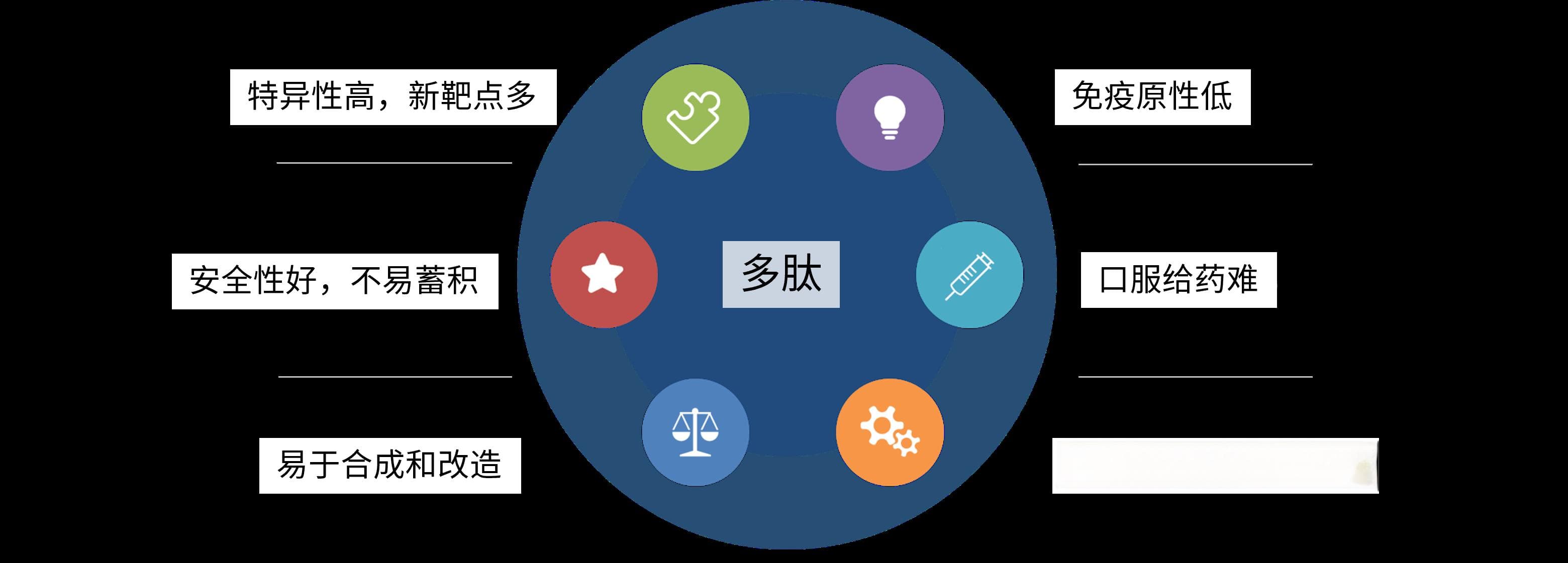 多肽药物的研发和药代动力学研究策略