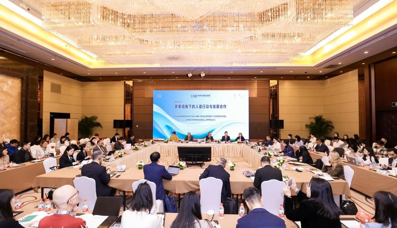 中国：各界专家深入探讨多重视角下的人道行动与发展合作